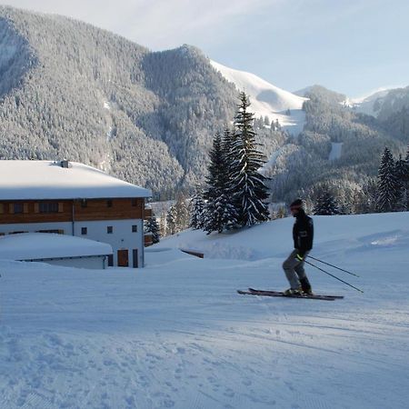 Blsv Sportcamp Direkt Am Kurvenlift Hostel Schliersee Bagian luar foto